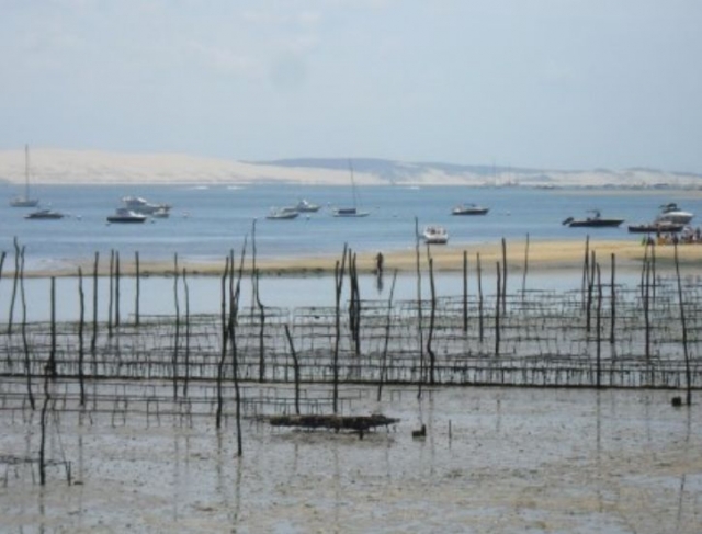  Canoa Lege Spot Cap Ferret 